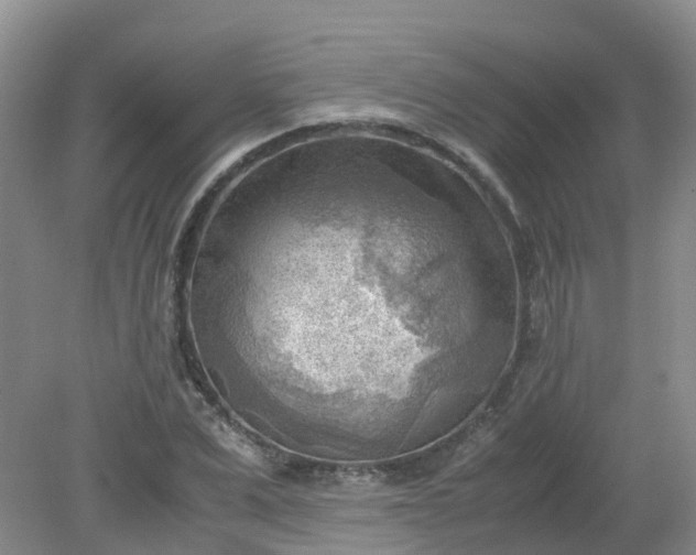 X0000079340975200612011929