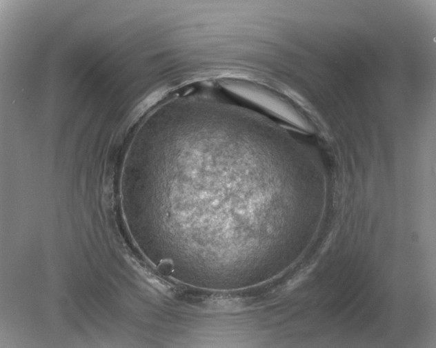 X0000079340977200612011929