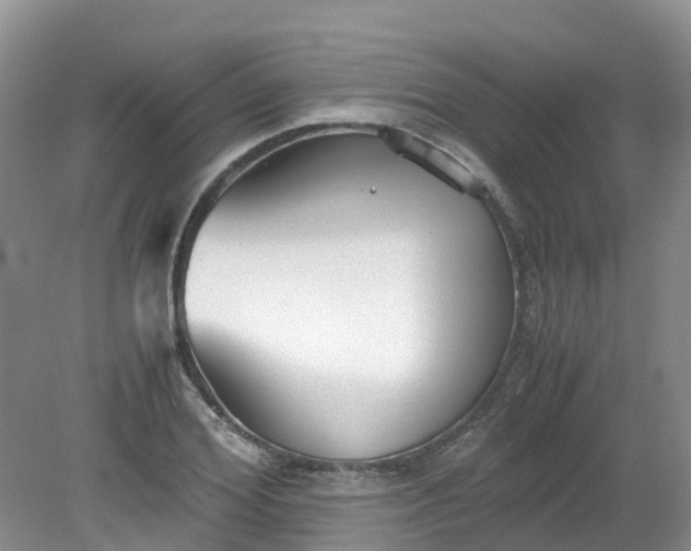 X0000079340980200612011929