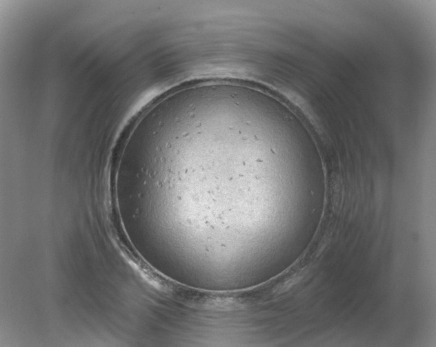 X0000079340982200612011929