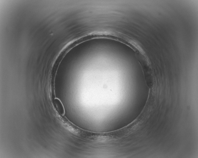 X0000079340984200612011929