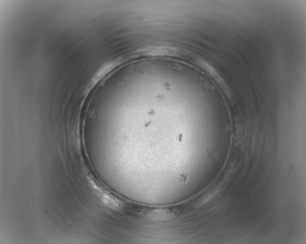 X0000079340986200612011929