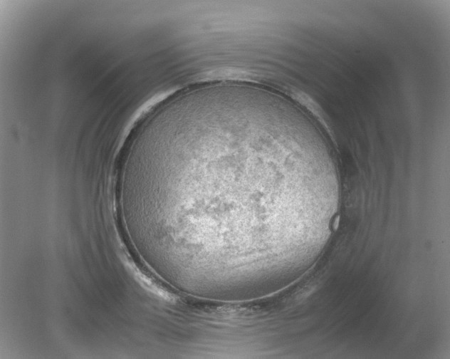 X0000079340987200612011929