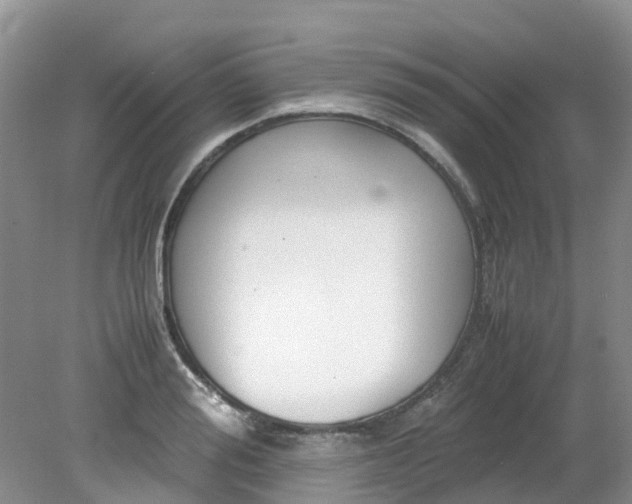 X0000079340988200612011929