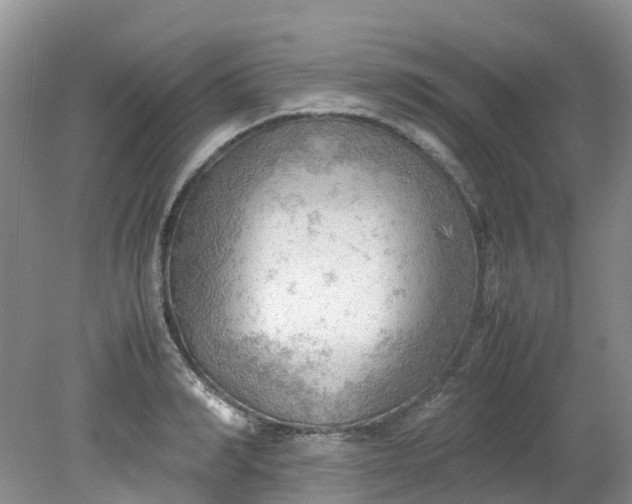 X0000079340990200612011929