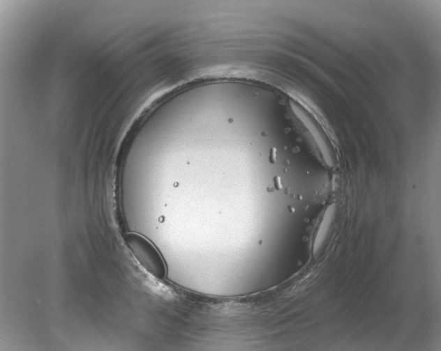 X0000079340992200612011929