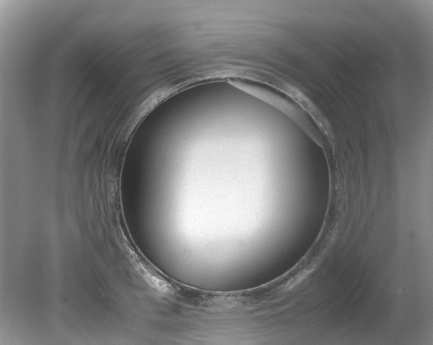 X0000079340993200612011929