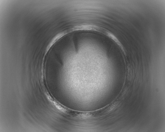 X0000079340994200612011929