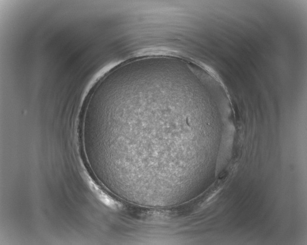 X0000079340995200612011929