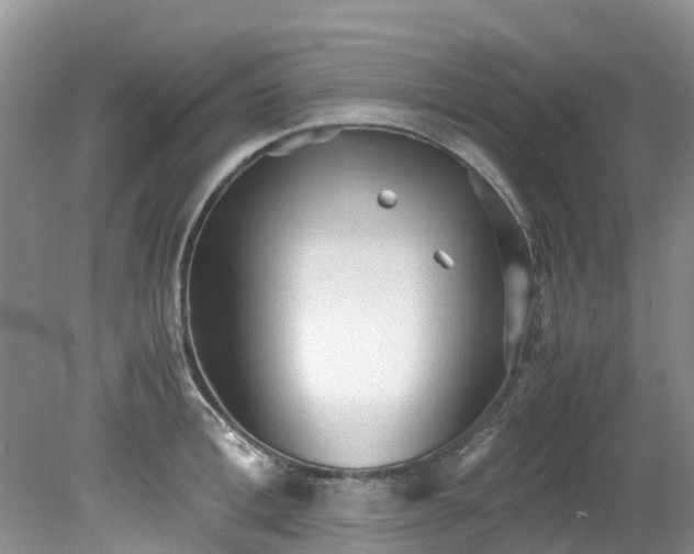 X0000079340996200612011929