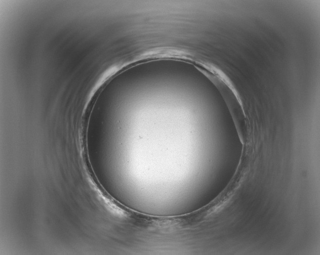 X0000079340997200612011929