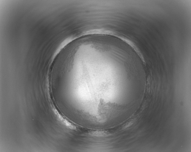 X0000079340998200612011929