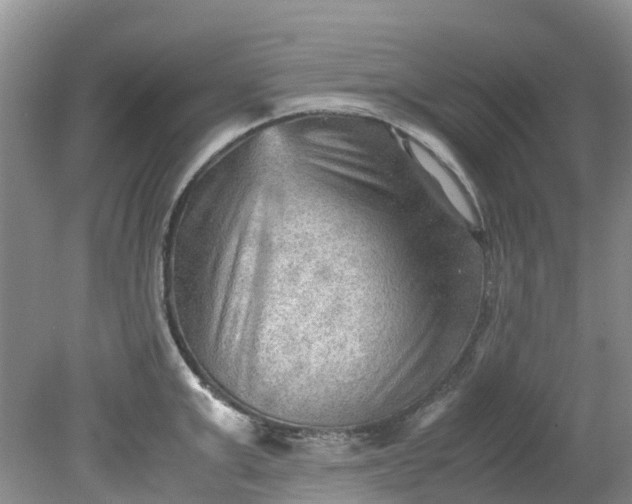 X0000079340999200612011929