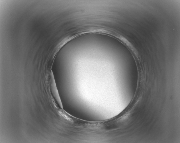 X0000079341001200612011929