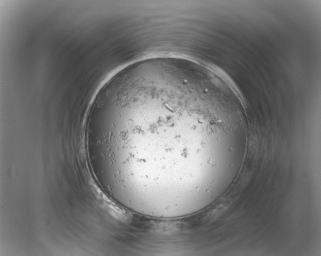 X0000079341004200612011929