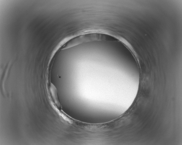 X0000079341005200612011929