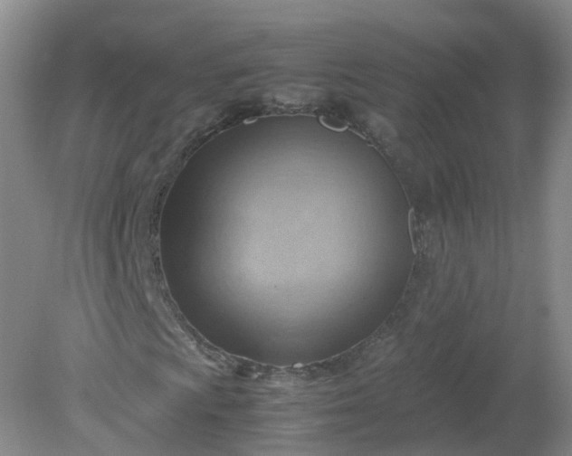 X0000079341009200612011928