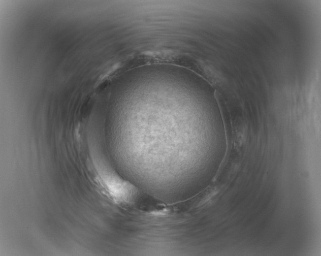 X0000079341010200612011928