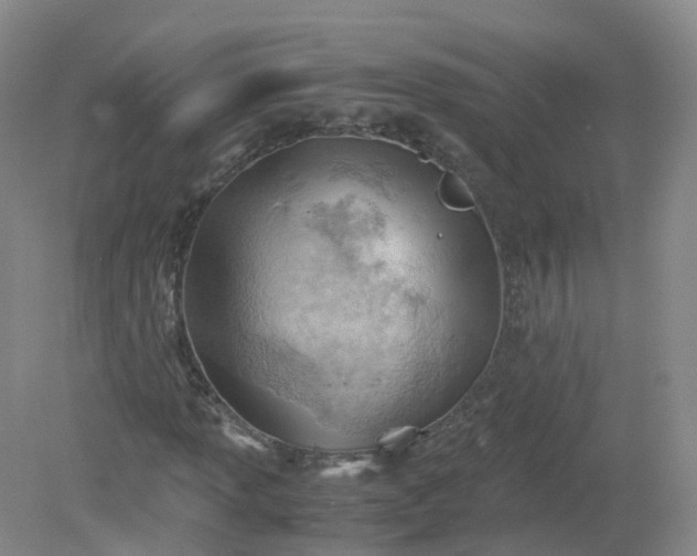 X0000079341013200612011928