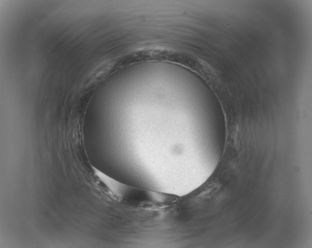 X0000079341014200612011928