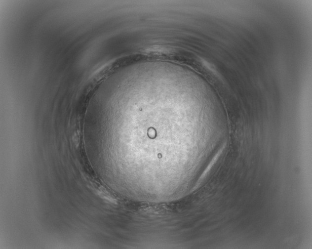 X0000079341015200612011928