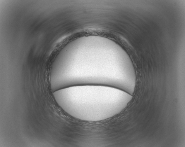 X0000079341016200612011928