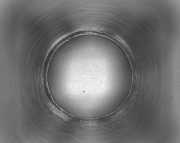 X0000079341020200612011928