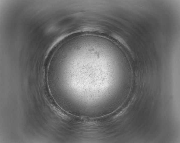 X0000079341021200612011928