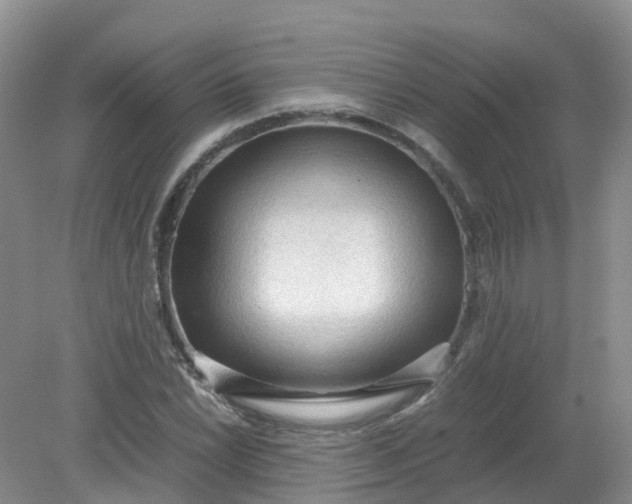 X0000079341022200612011928