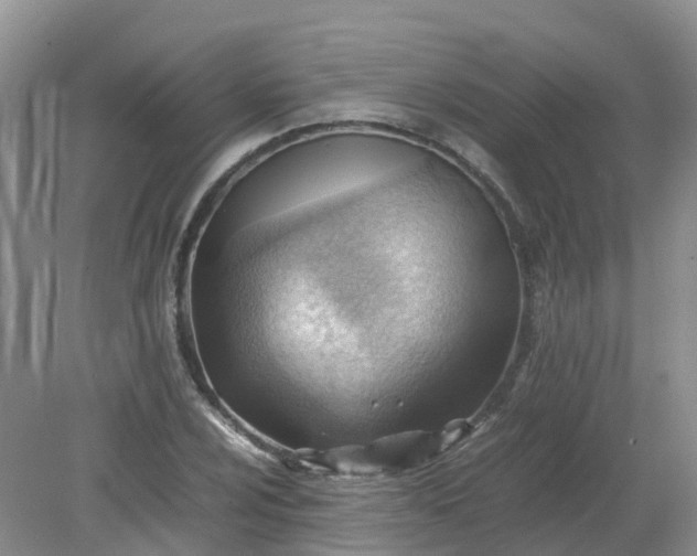 X0000079341024200612011928