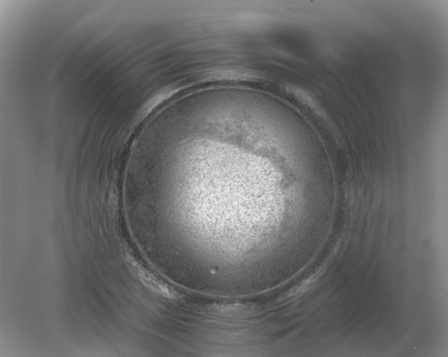 X0000079341025200612011928