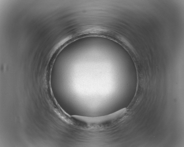 X0000079341026200612011928