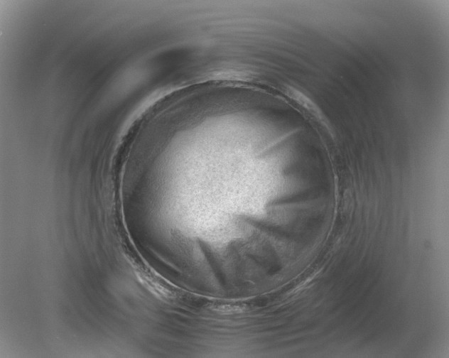 X0000079341027200612011928