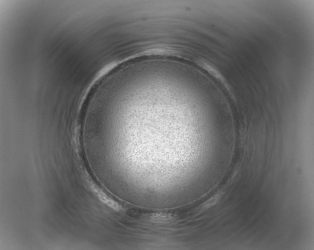 X0000079341029200612011928