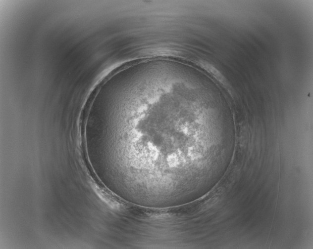 X0000079341031200612011928