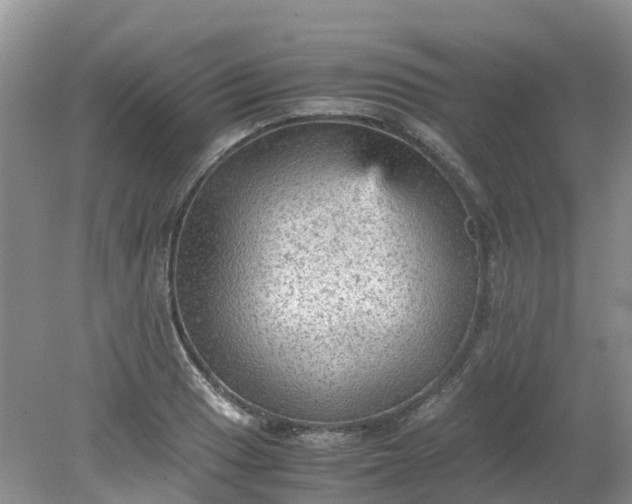 X0000079341033200612011928