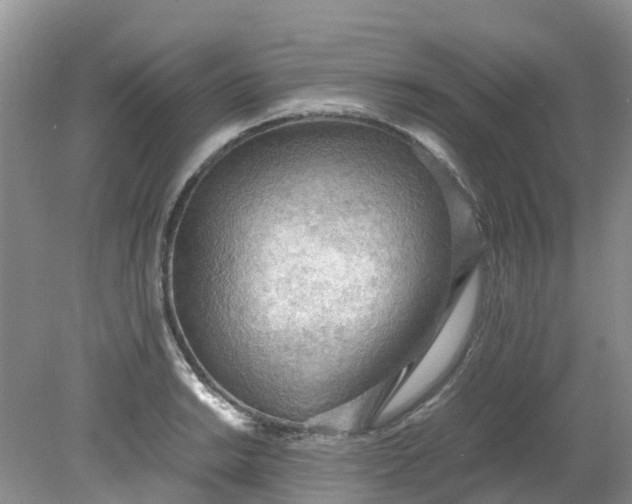 X0000079341038200612011928