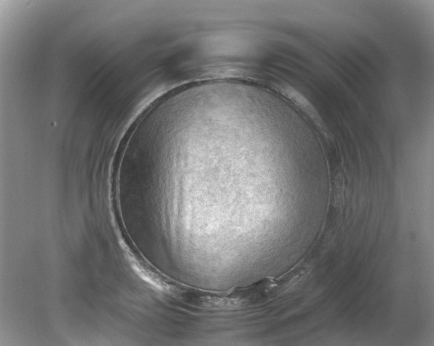 X0000079341039200612011928