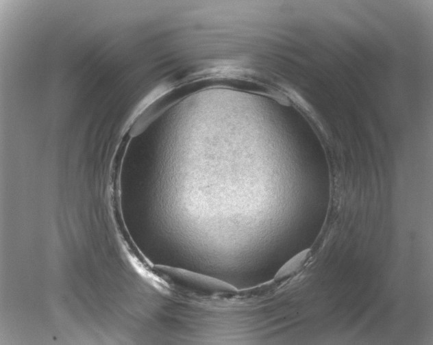 X0000079341042200612011929