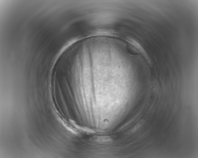 X0000079341043200612011929