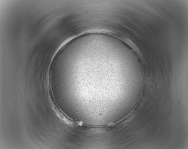 X0000079341044200612011929