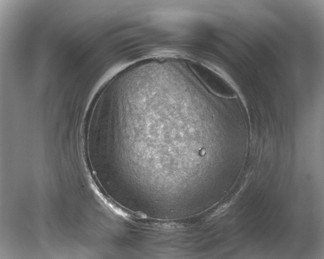 X0000079341045200612011929