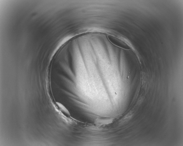 X0000079341048200612011929