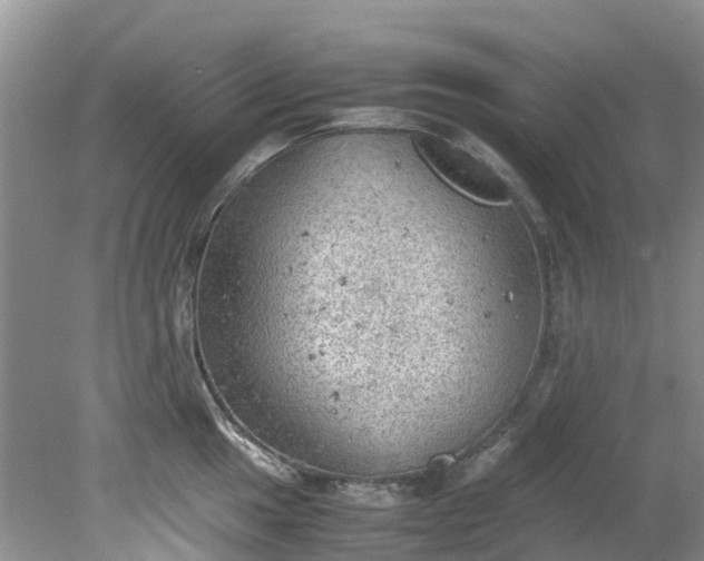 X0000079341049200612011929