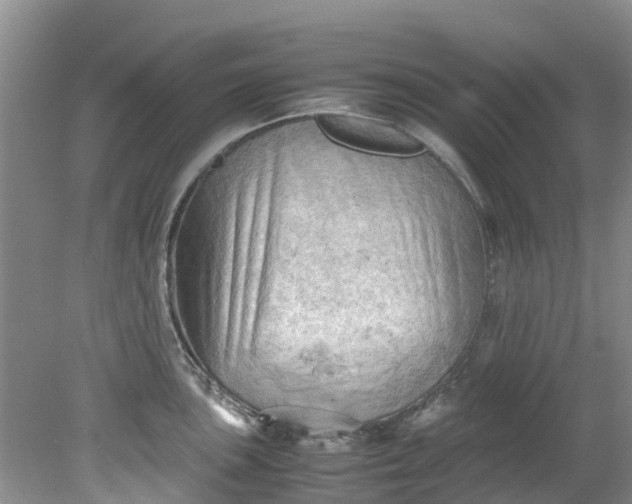 X0000079341051200612011929