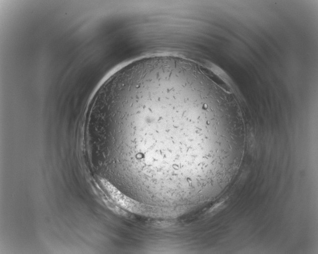 X0000079341052200612011929