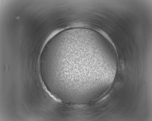 X0000079341053200612011929