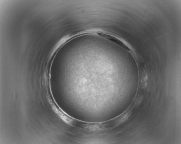 X0000079341054200612011929