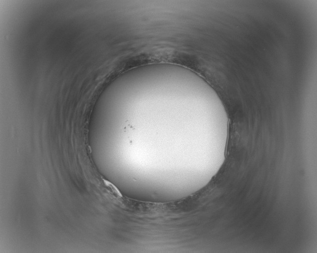 X0000079341057200612011928