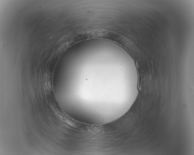 X0000079341058200612011928